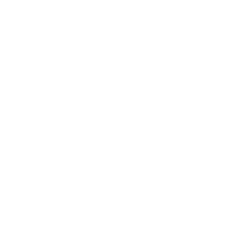 Western Digital logo